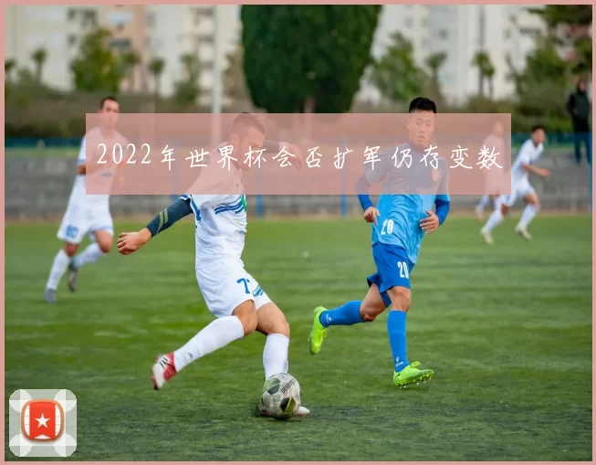 2022年世界杯会否扩军仍存变数