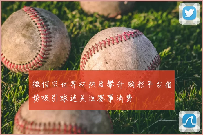微信买世界杯热度攀升 购彩平台借势吸引球迷关注赛事消费