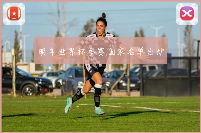 明年世界杯参赛国家名单出炉