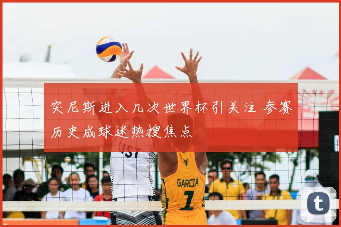 突尼斯进入几次世界杯引关注 参赛历史成球迷热搜焦点