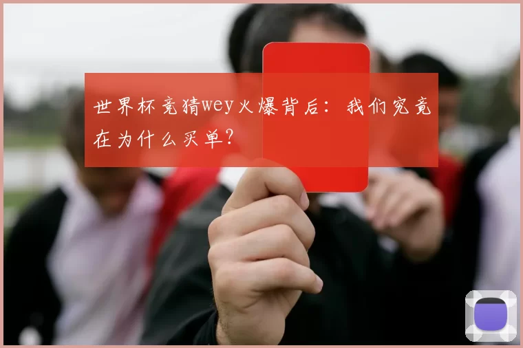 世界杯竞猜wey火爆背后：我们究竟在为什么买单？