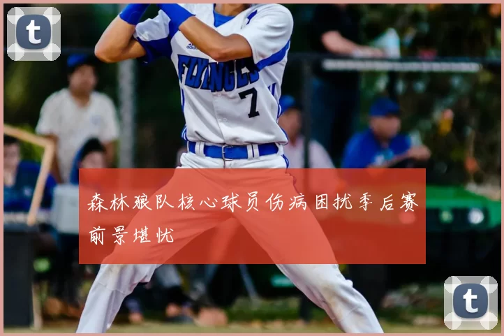 森林狼队核心球员伤病困扰季后赛前景堪忧