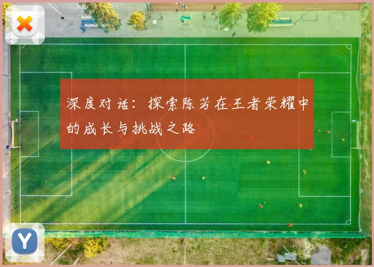 深度对话:探索陈芳在王者荣耀中的成长与挑战之路
