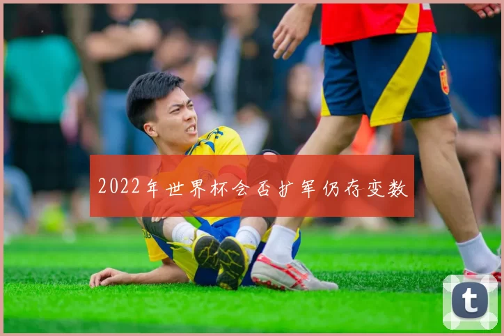 2022年世界杯会否扩军仍存变数