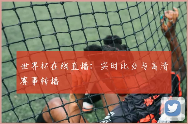 世界杯在线直播:实时比分与高清赛事转播