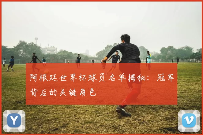 阿根廷世界杯球员名单揭秘:冠军背后的关键角色