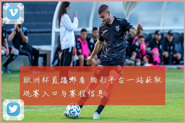 欧洲杯直播哪看 购彩平台一站获取观赛入口与赛程信息