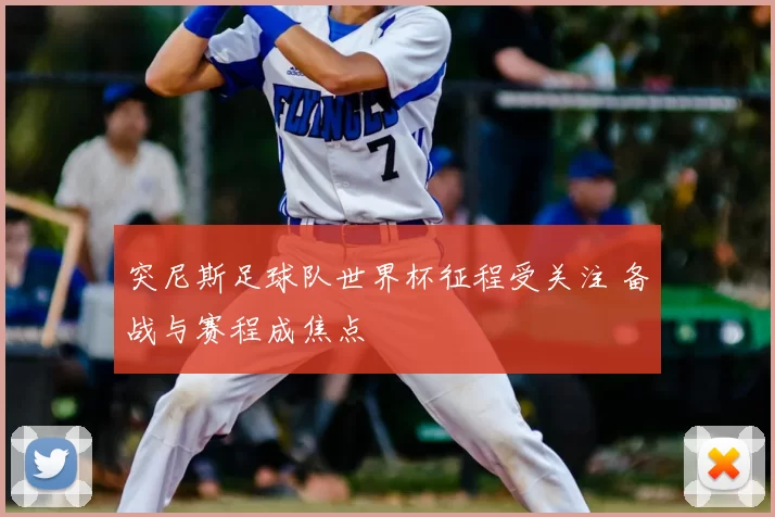 突尼斯足球队世界杯征程受关注 备战与赛程成焦点