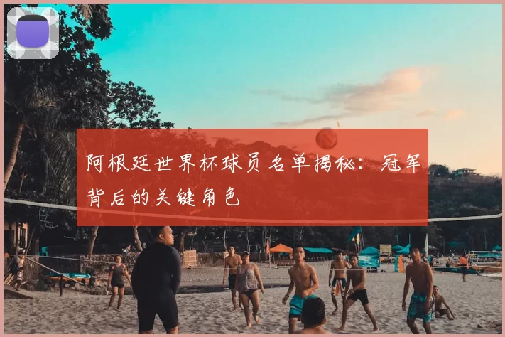 阿根廷世界杯球员名单揭秘：冠军背后的关键角色