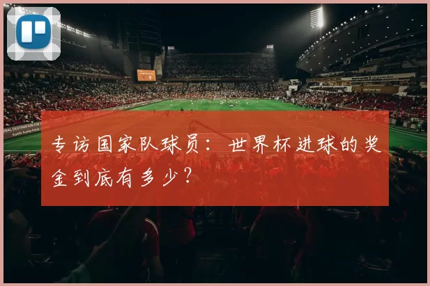 专访国家队球员:世界杯进球的奖金到底有多少?