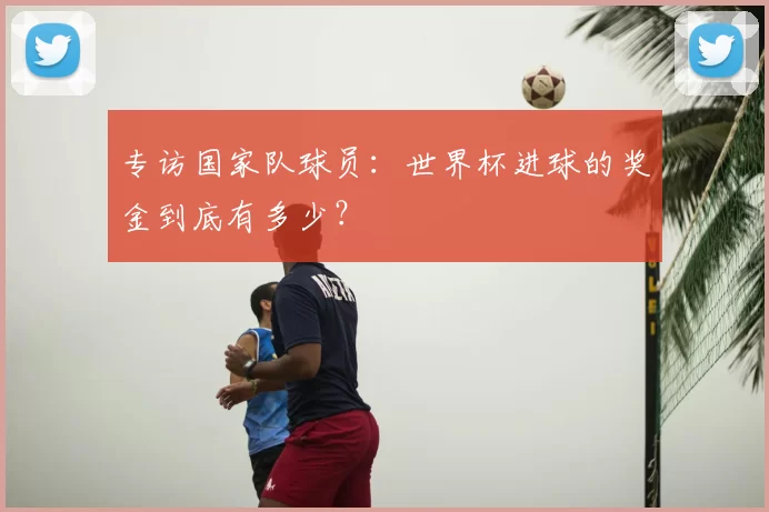 专访国家队球员：世界杯进球的奖金到底有多少？
