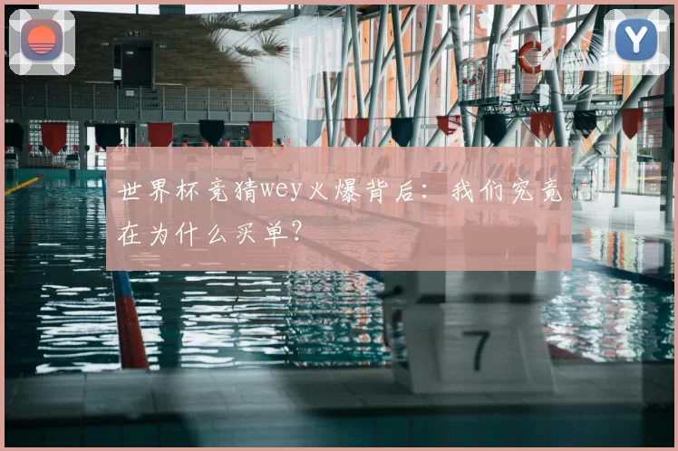 世界杯竞猜wey火爆背后:我们究竟在为什么买单?