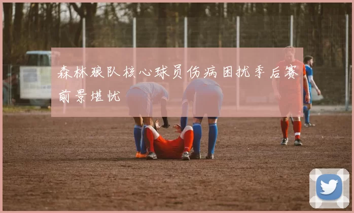 森林狼队核心球员伤病困扰季后赛前景堪忧